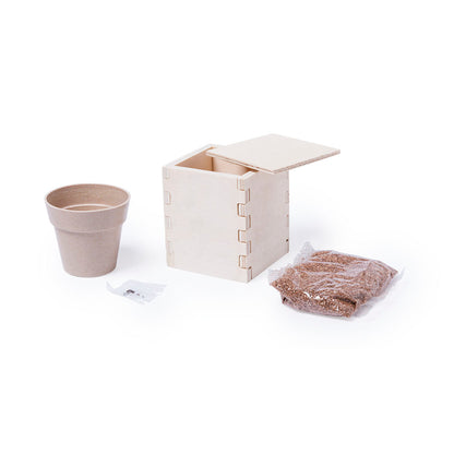 Pot (lot de 60)