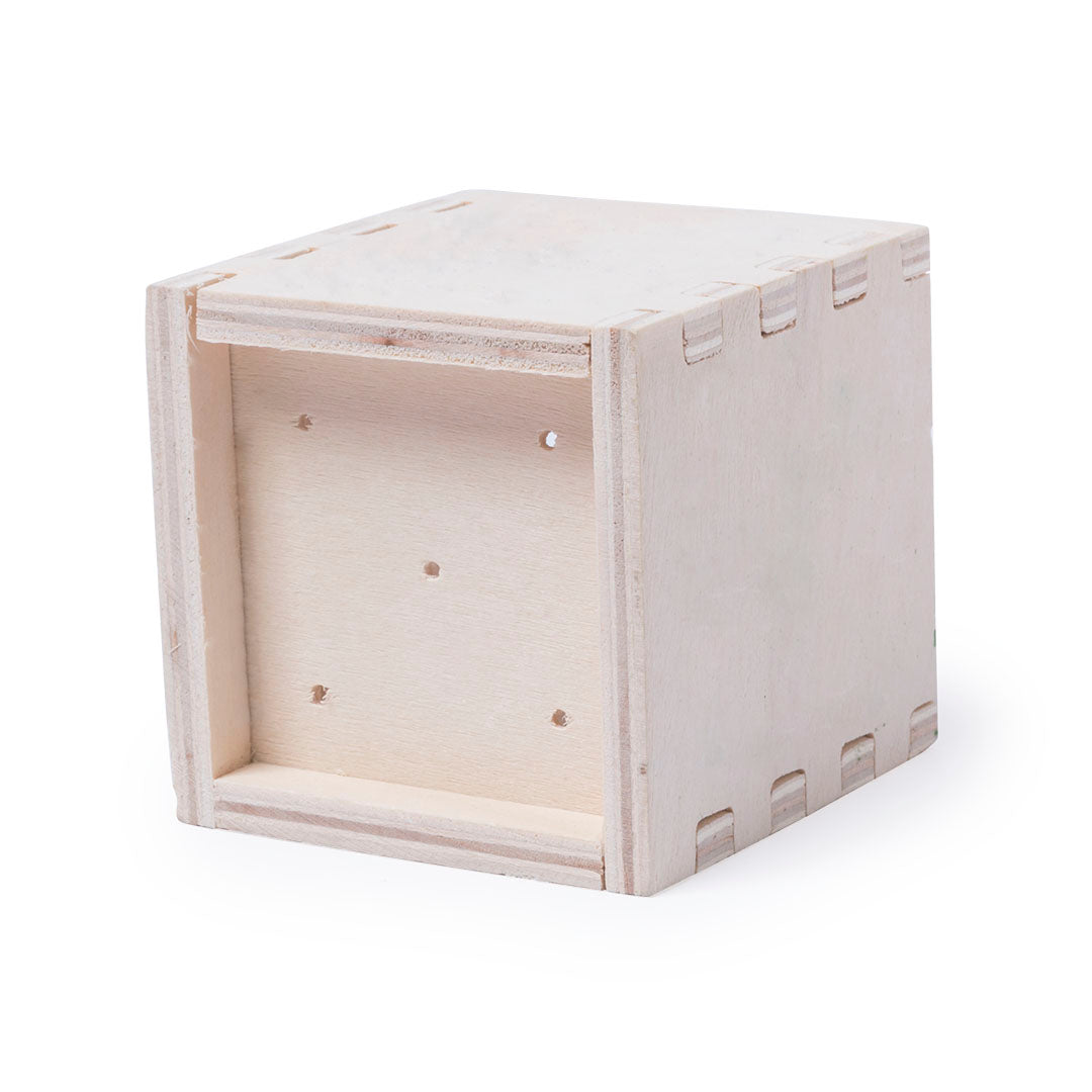 Pot (lot de 60)