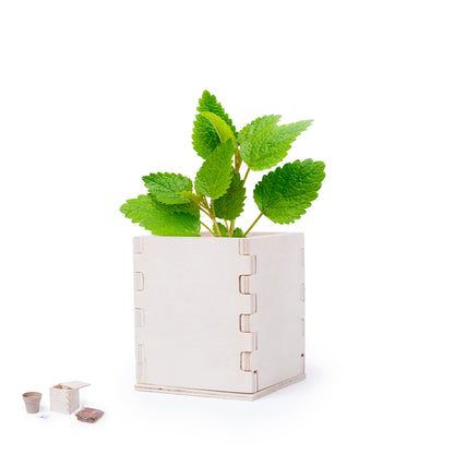 Pot (lot de 60)