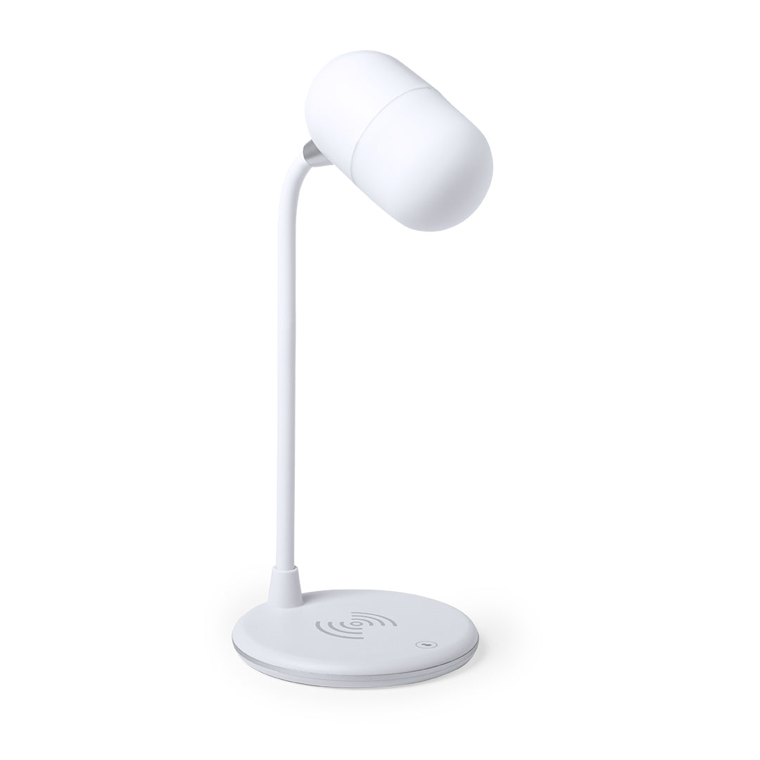 Lampe multifonction (lot de 30)