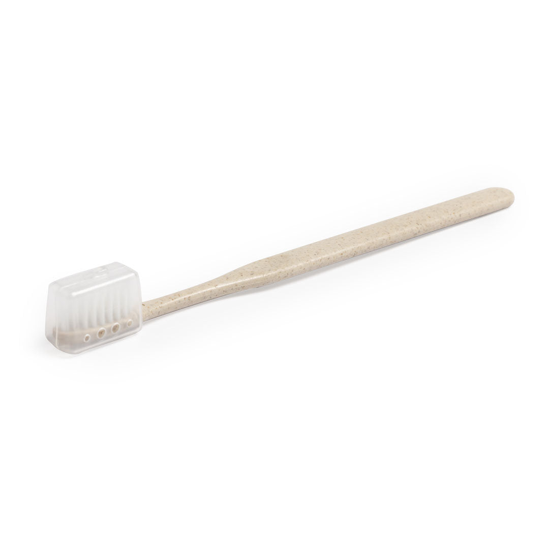 Cepillo Dientes (lote de 50)