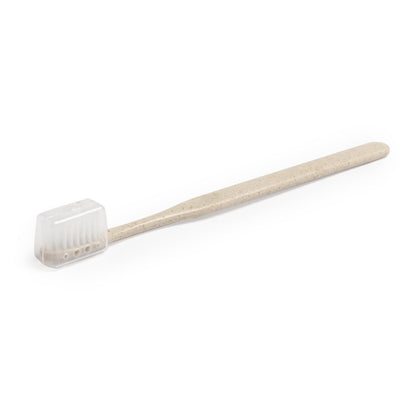 Cepillo Dientes (lote de 50)