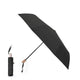 Regenschirme (30 Stück)
