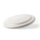 Frisbee (lot de 100)