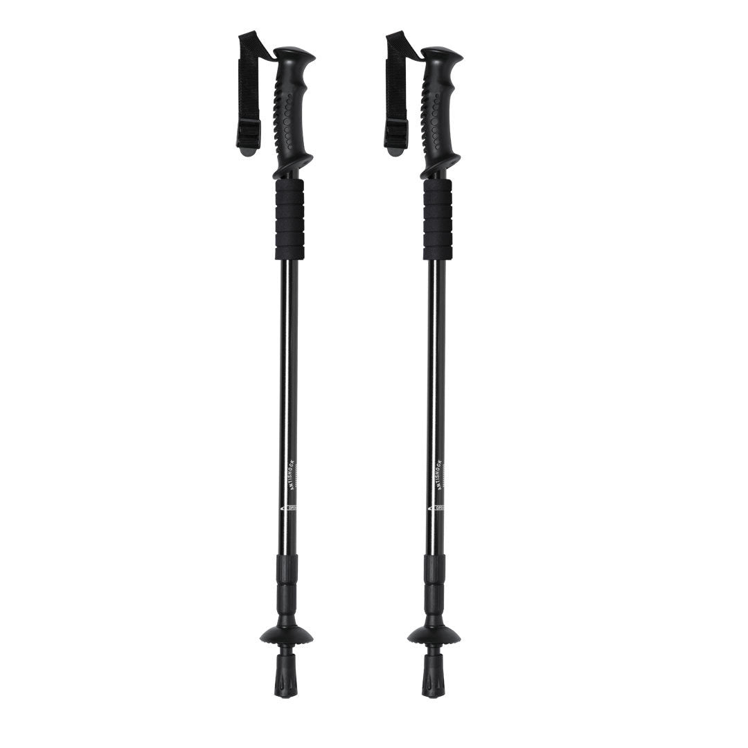 Set Bastones (lote de 20)