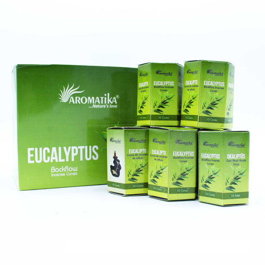 10er-Pack Masala Backflow-Räucherstäbchen – Eukalyptus