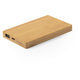 Powerbank