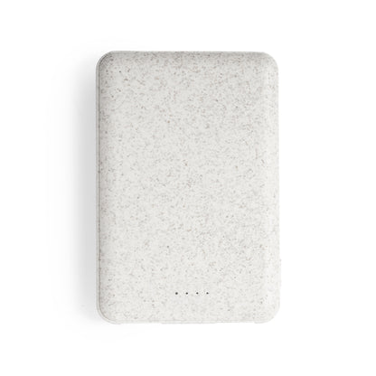 Powerbank (25er Pack)