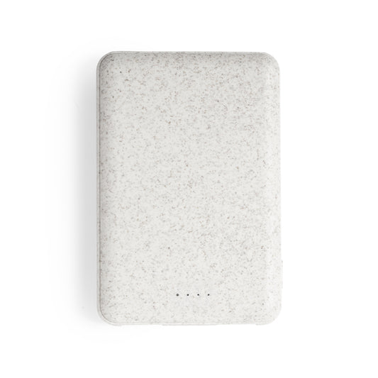Powerbank (25er Pack)