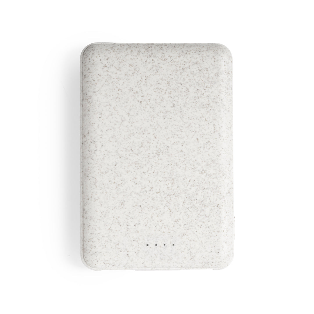 Powerbank (25er Pack)