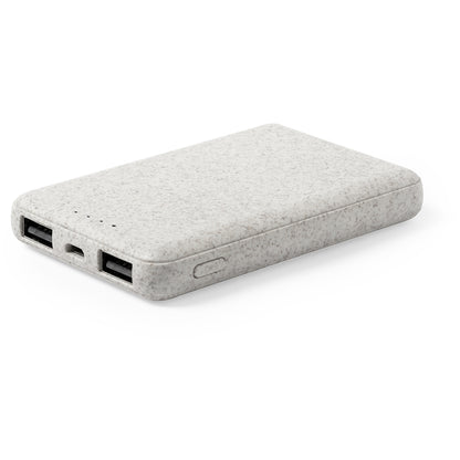 Powerbank (25er Pack)