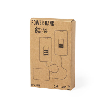 Powerbank (25er Pack)