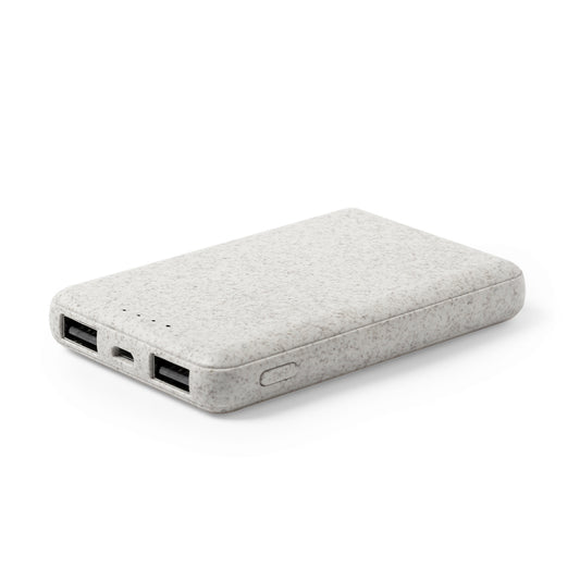 Powerbank (25er Pack)