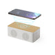 Altavoz Cargador (lote de 15)