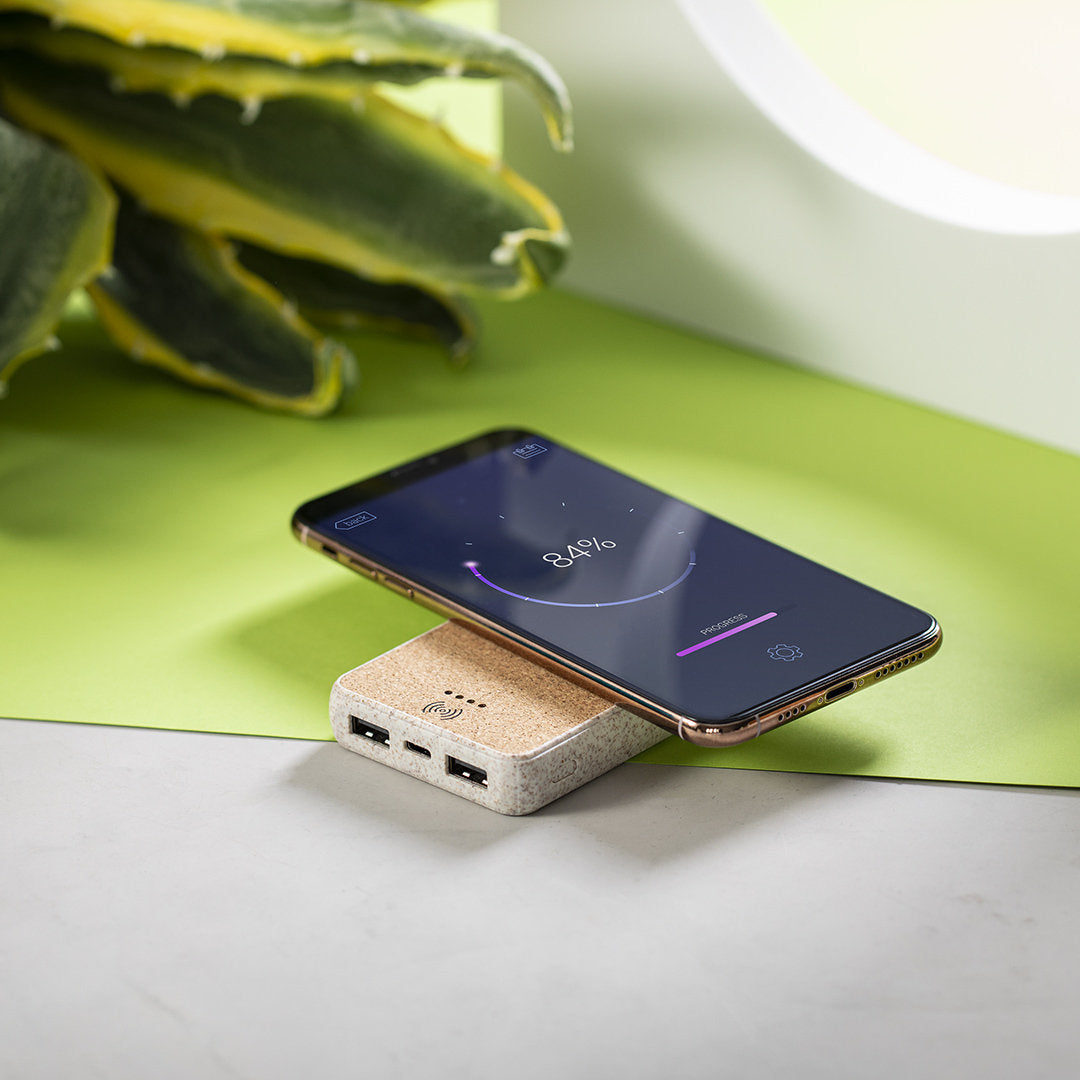 Powerbank