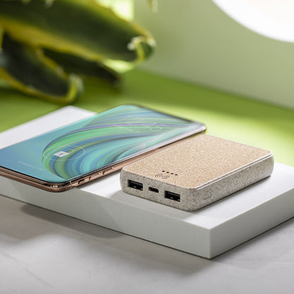 Powerbank
