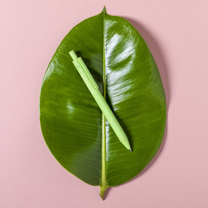 Kugelschreiber (100er-Pack)