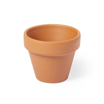 Maceta (lote de 20)