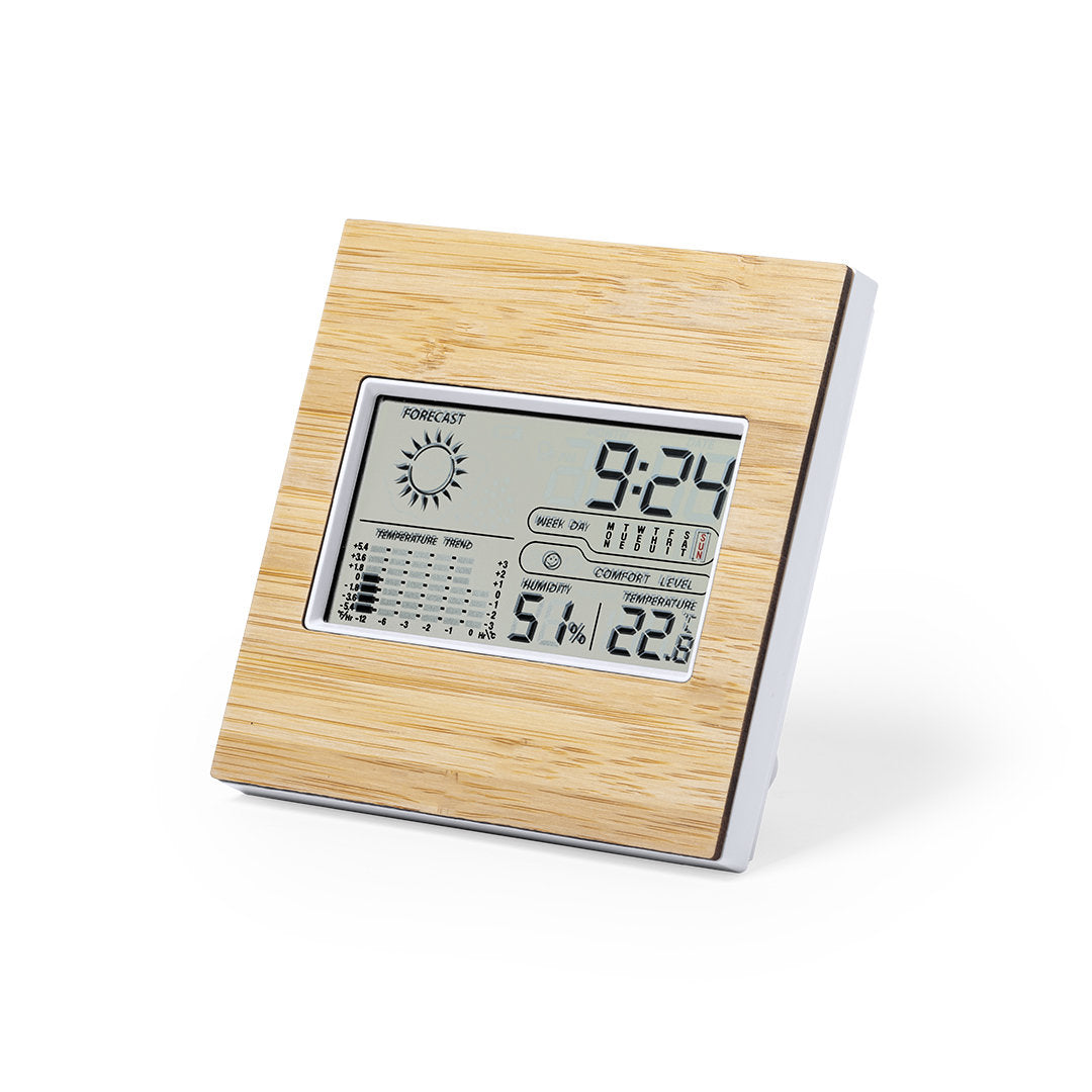 Station météo (lot de 25)