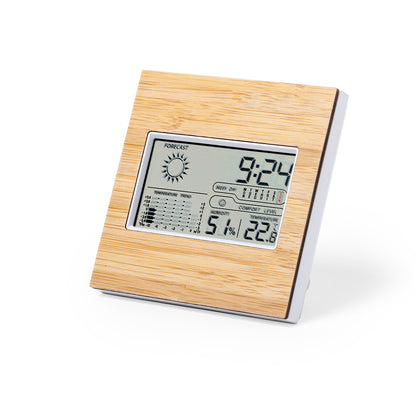 Station météo (lot de 25)