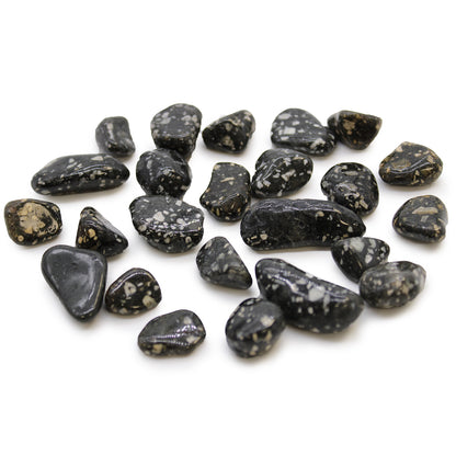 24 x Pequeñas piedras africanas - Gallina de Guinea