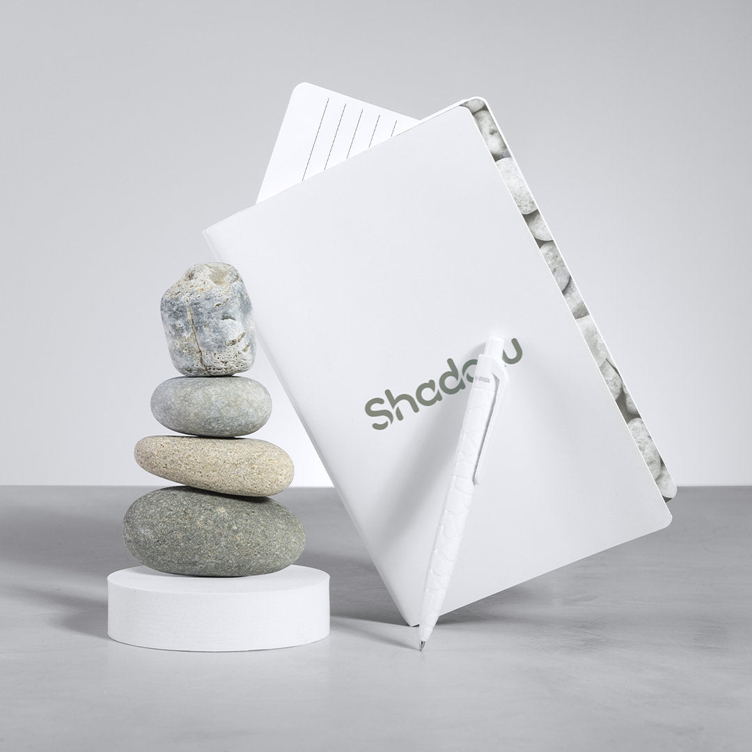 Stylo (lot de 50)