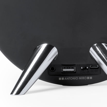 Altavoz (lote de 30)