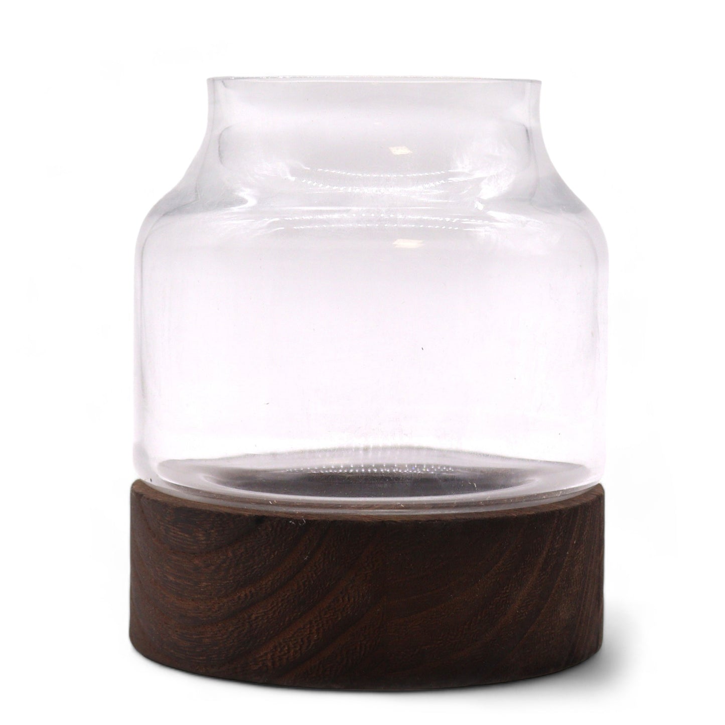 Kleines Terarium aus dunklem Tungholz – 12 x 13 cm