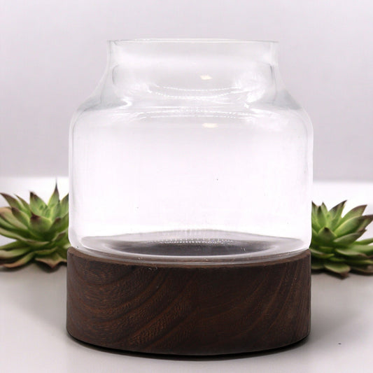 Kleines Terarium aus dunklem Tungholz – 12 x 13 cm