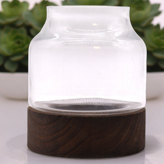 Mittleres Terarium aus dunklem Tungholz – 16 x 18 cm