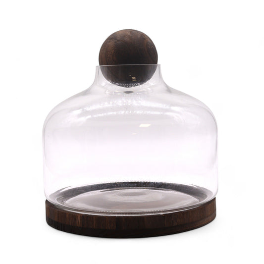 Extra großes Terarium aus dunklem Tungholz mit Kugeldeckel – 23 x 23 cm