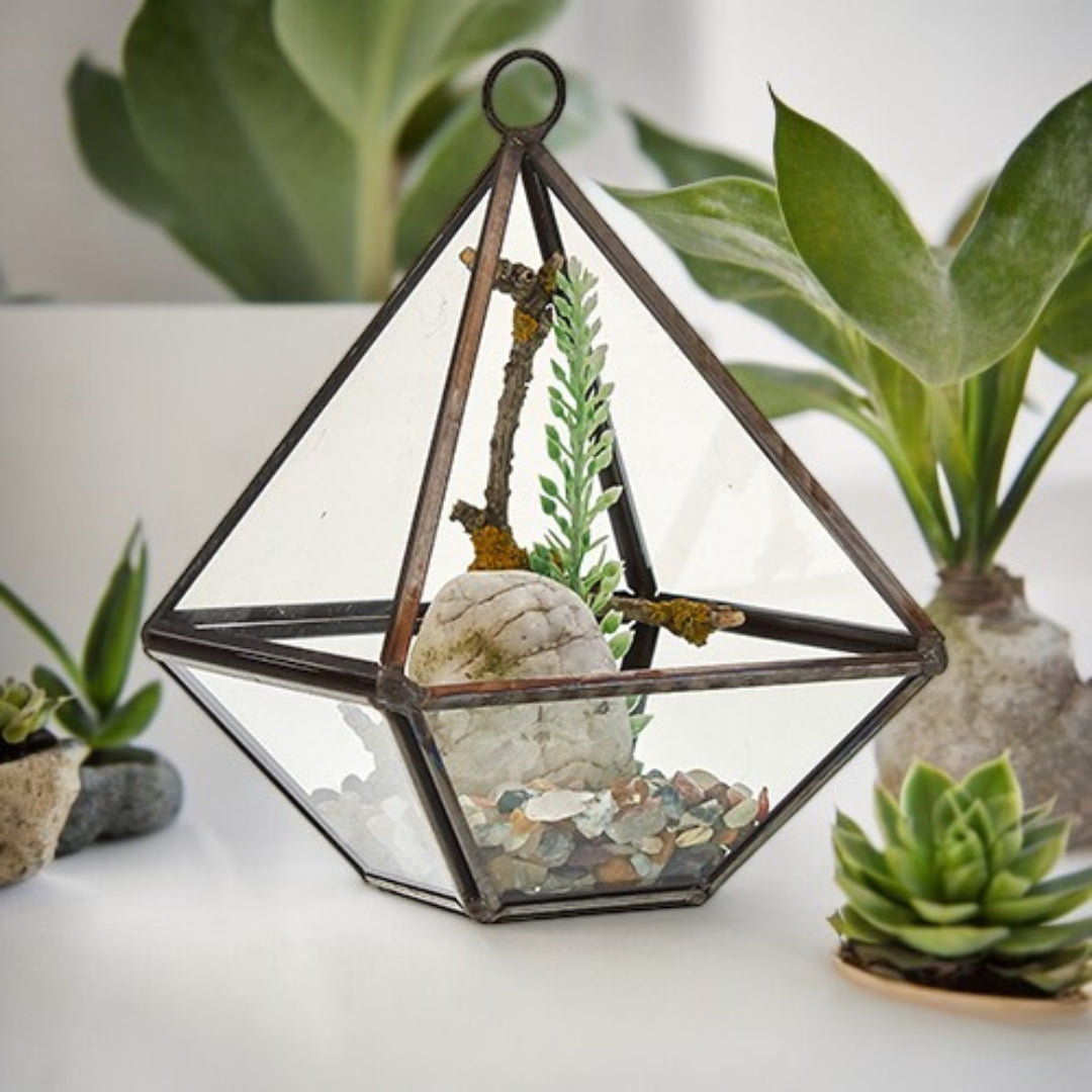 Glasterrarium - Kleiner Diamant