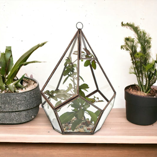 Glasterrarium - Großes Pentagon