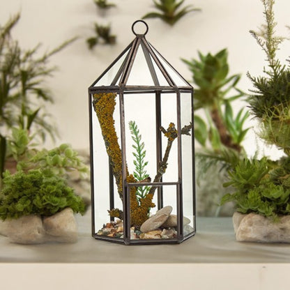 Terrario Vidrio Linterna