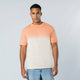 Camiseta Adulto (lote de 5)