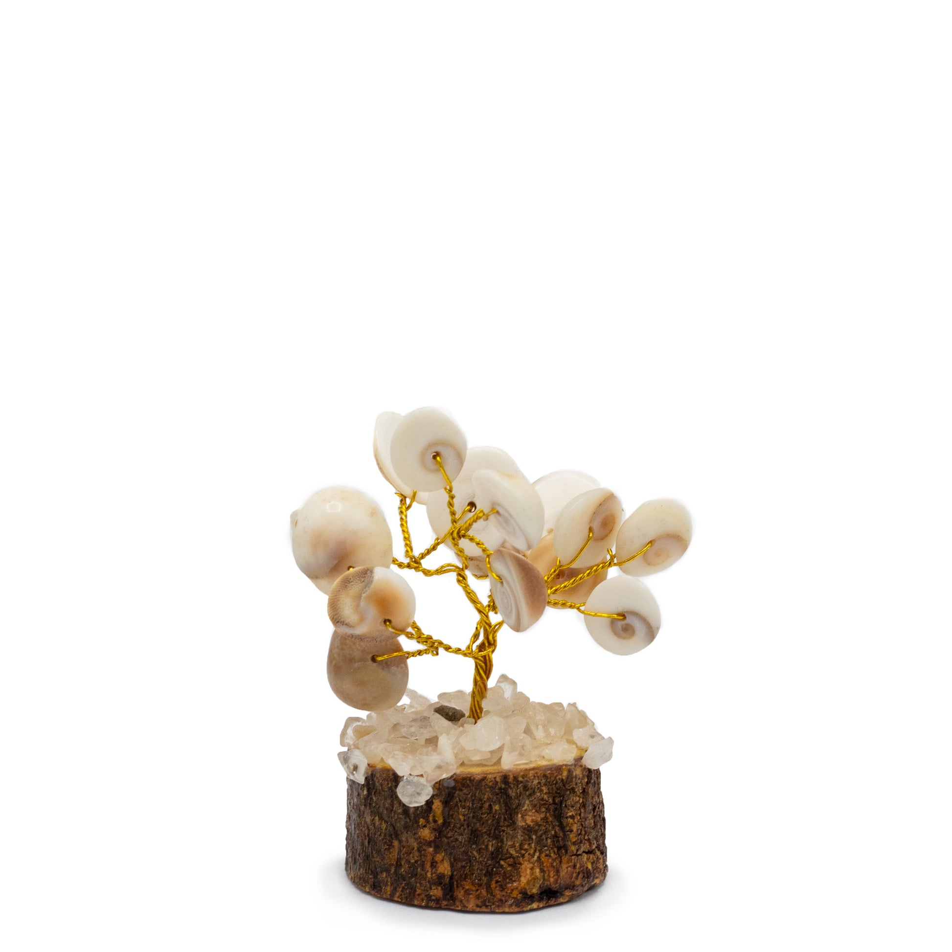 12 x Pequeño Gomati Chakra Árboles de Piedra Círculo con Rudraksha - (15 piedras)