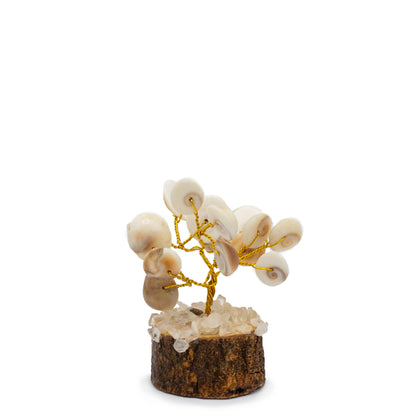 12 x Pequeño Gomati Chakra Árboles de Piedra Círculo con Rudraksha - (15 piedras)
