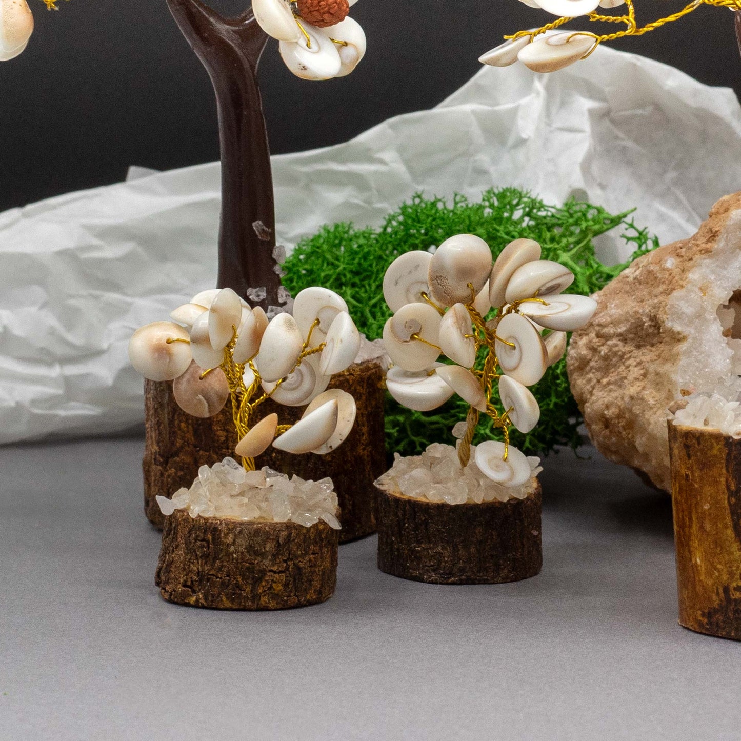 12 x Pequeño Gomati Chakra Árboles de Piedra Círculo con Rudraksha - (15 piedras)