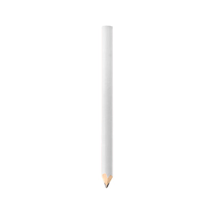 Lápiz (lote de 100)