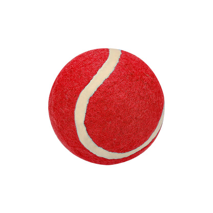 Pelota (lote de 20)