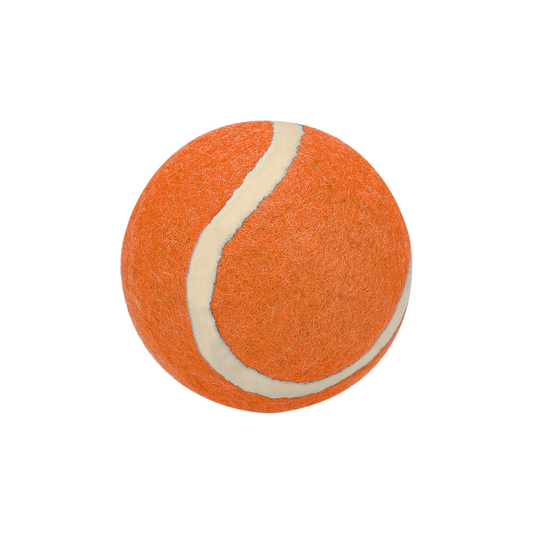 Pelota (lote de 20)