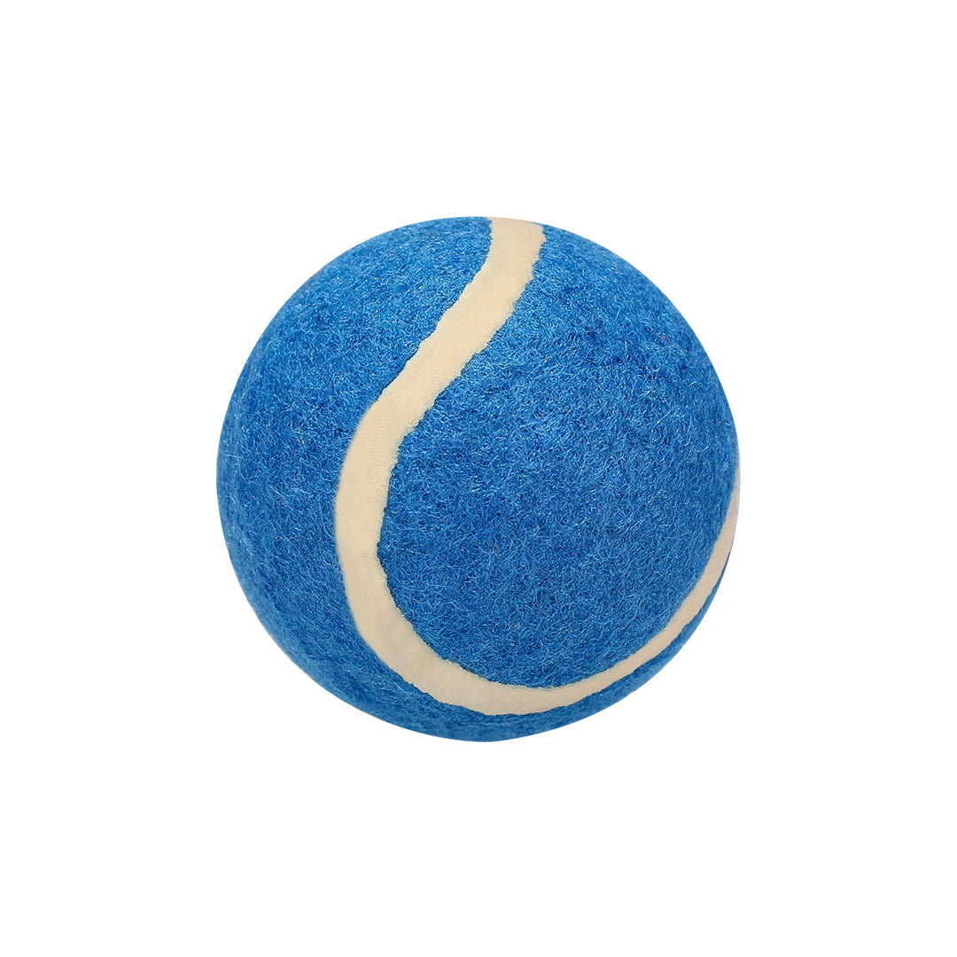 Pelota (lote de 20)
