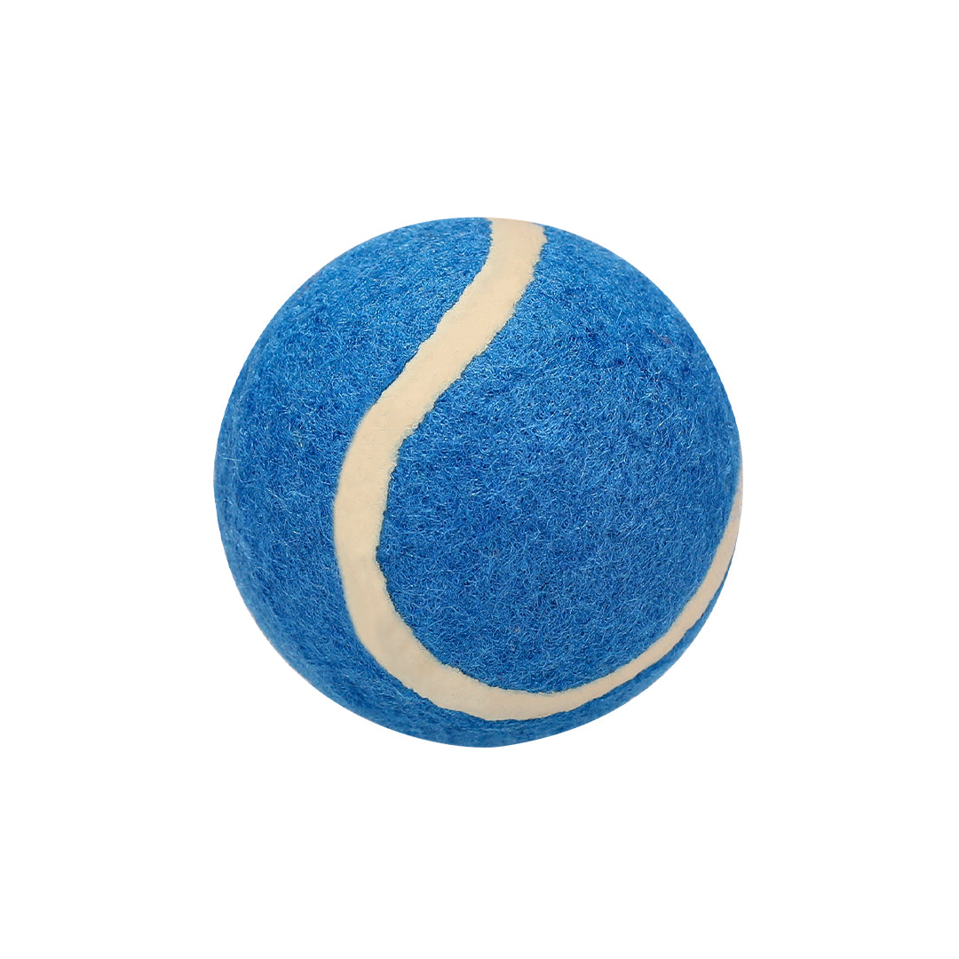 Pelota (lote de 20)