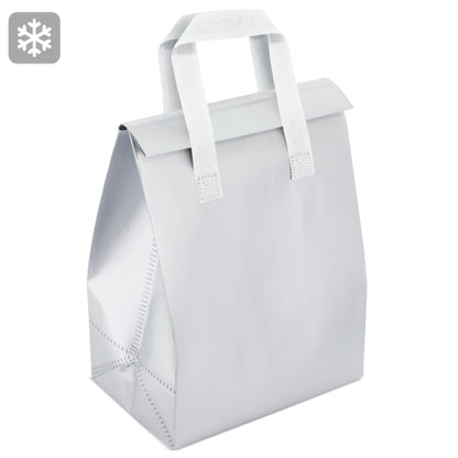 Bolsa Nevera