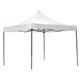 ESTRUCTURA CARPA 3X3 M "LEMONT"