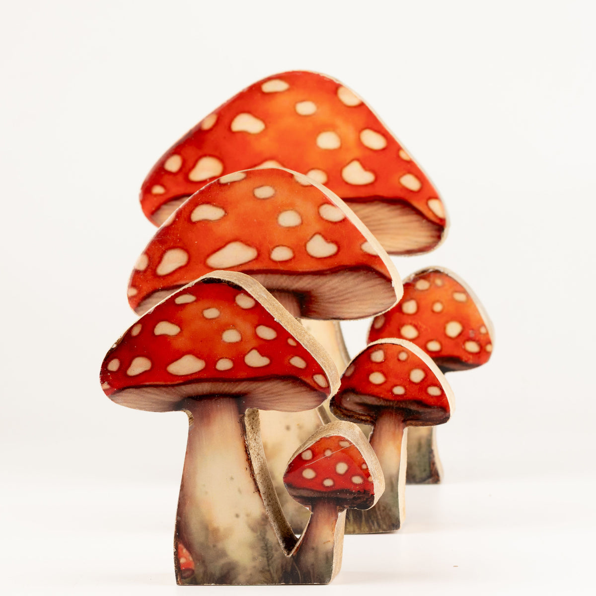 Plantas decorativas de madera - Seta Redcap grande