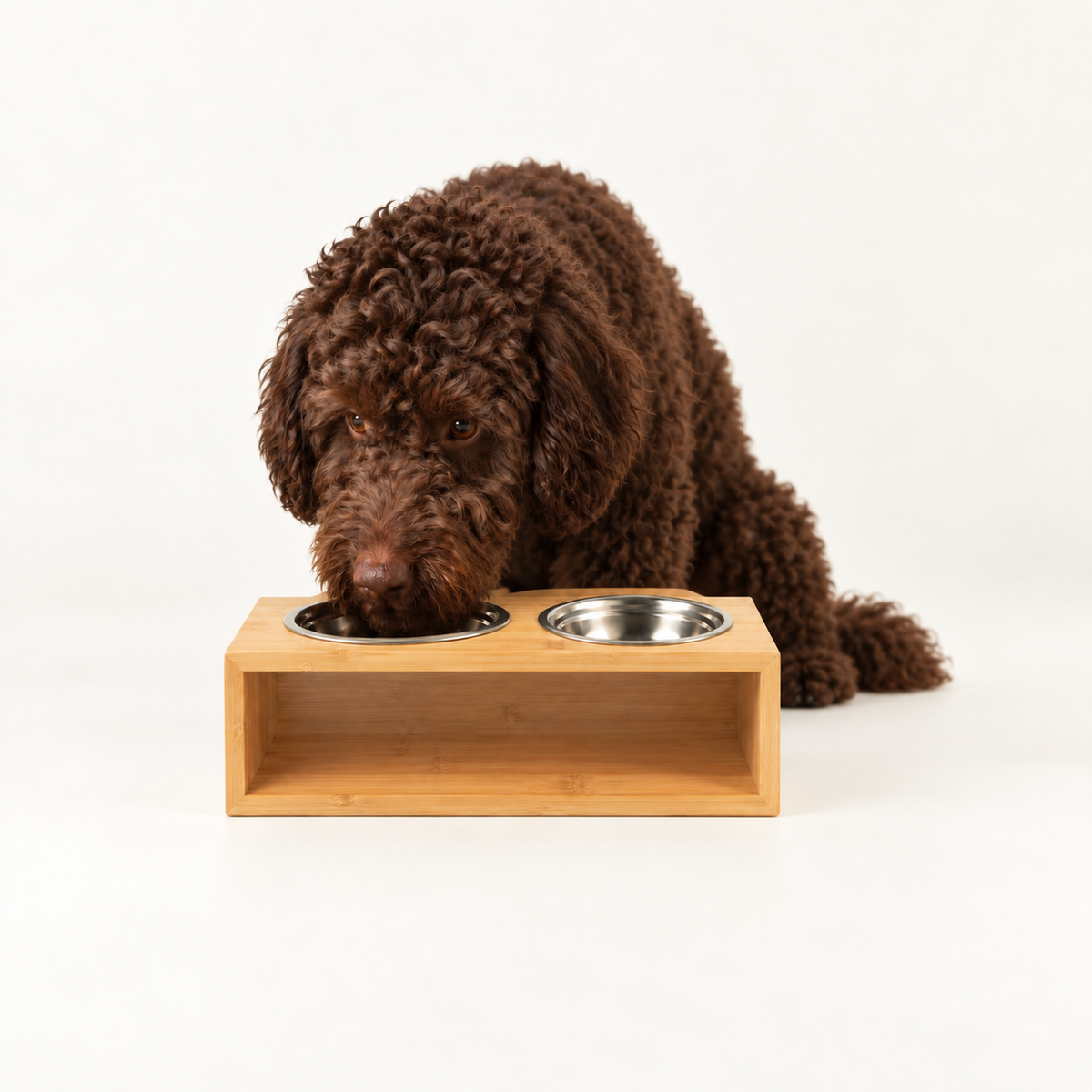 PAW Cuencos para comida - Grande doble acero inoxidable (201) en soporte de madera - 2x13 cm