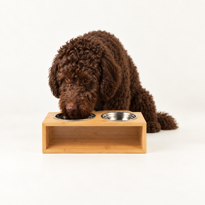 PAW Cuencos para comida - Grande doble acero inoxidable (201) en soporte de madera - 2x13 cm