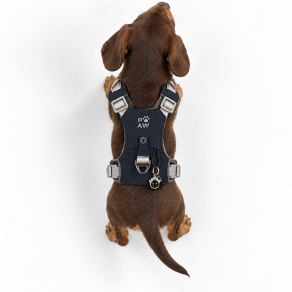 PAW - XS (2-4 kg) Arnés de paso para perros Guardian con malla reflectante - Rock Grey - Black Obsidian Charm