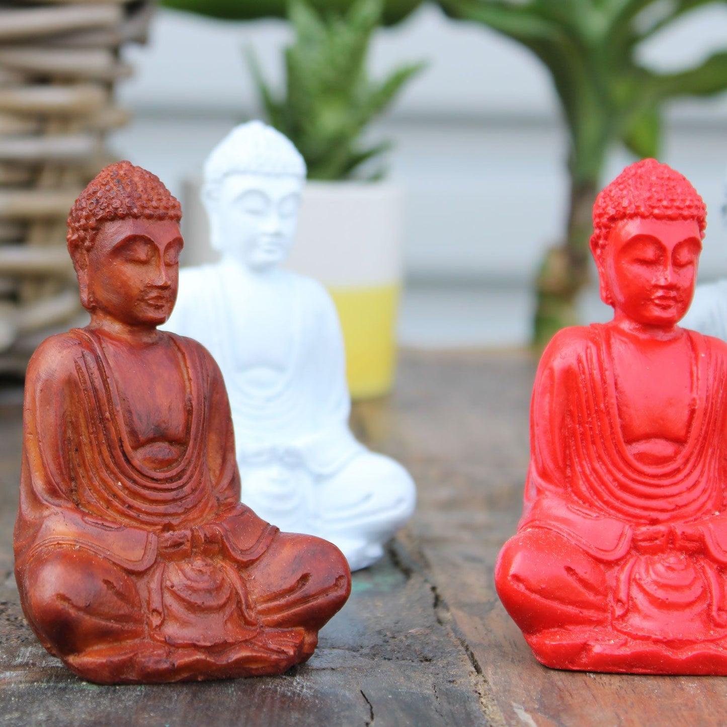 6 x Mini Buddha Mate (verschiedene Farben)